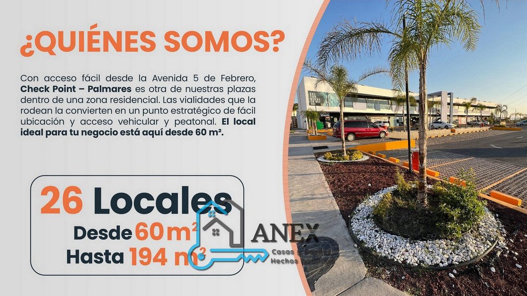 ANTEA-GREEN-CHECKPOINT-PALMARES-0001