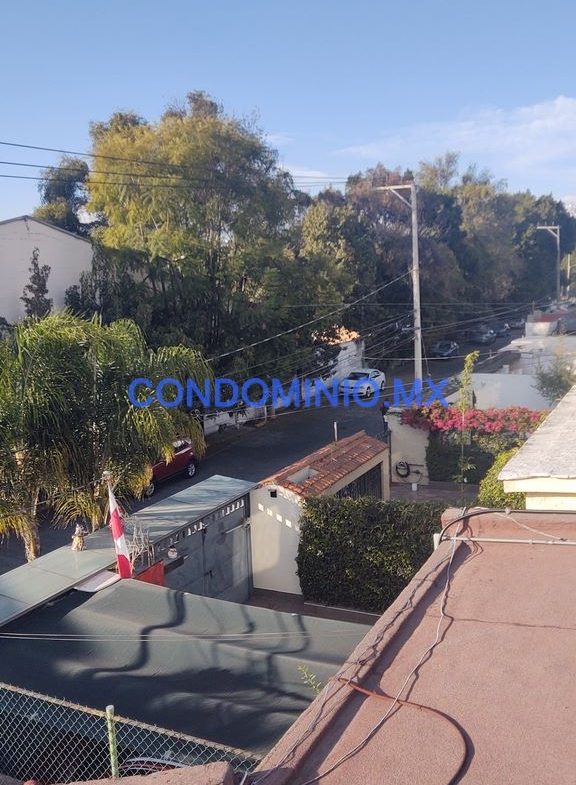 Calle arbolada – 1K JPEG – CONDOMINIOMX