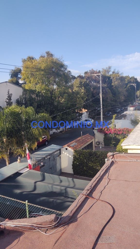 Calle arbolada – 1K JPEG – CONDOMINIOMX